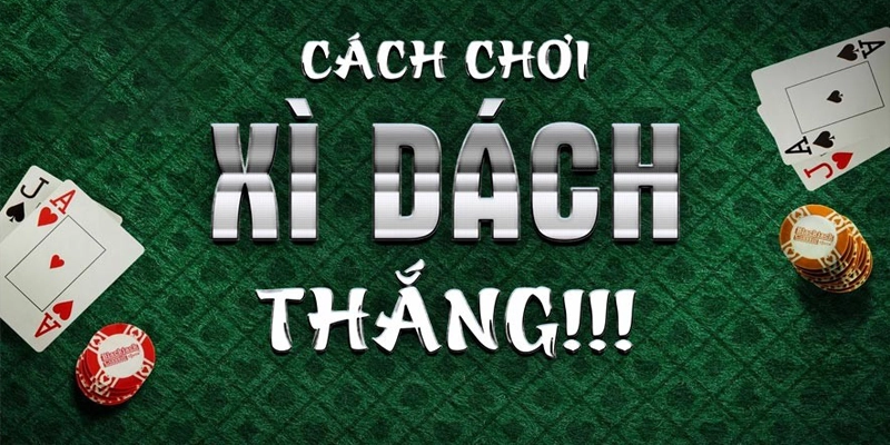 Chia sẻ bí quyết, cách chơi xì dách luôn thắng